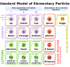 Standard Model of Elementary Particles.svg