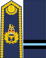 ملف:United Kingdom-Air force-OF-6-collected.svg