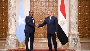 عبد الفتاح السيسي (يمين)ونظيره الصومالي حسن شيخ محمود في القاهرة 14 أغسطس 2024