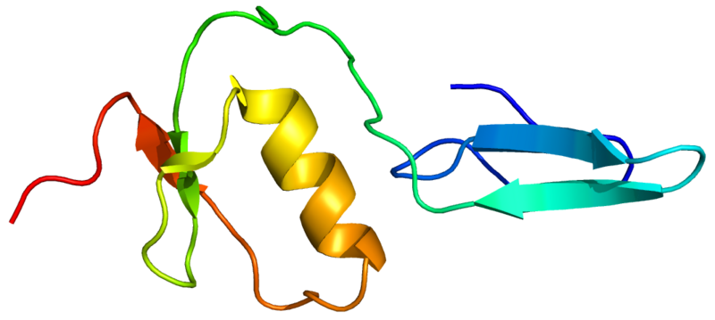 ملف:Protein FSTL3 PDB 2KCX.png