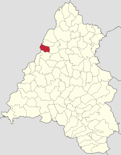 ملف:Tamaseu jud Bihor.svg