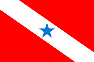 Bandeira do Pará.svg