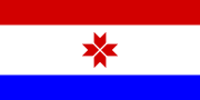 Flag of Mordovia (30 March 1995–20 May 2008)