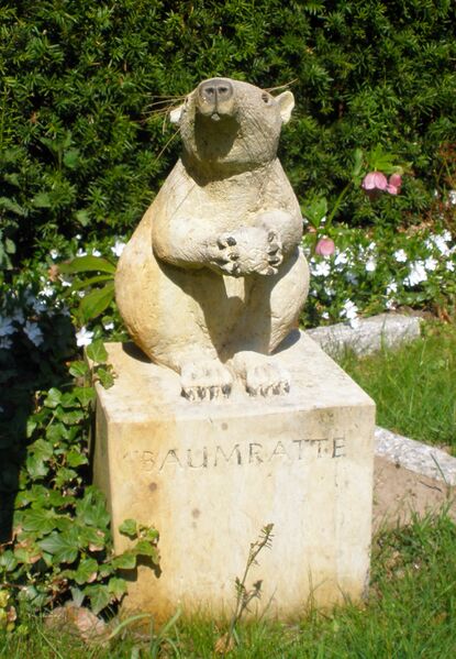 ملف:Garten-der-frauen-mohr-baumratte (cropped).JPG