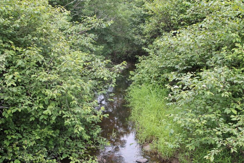 ملف:Little Shickshinny Creek.JPG