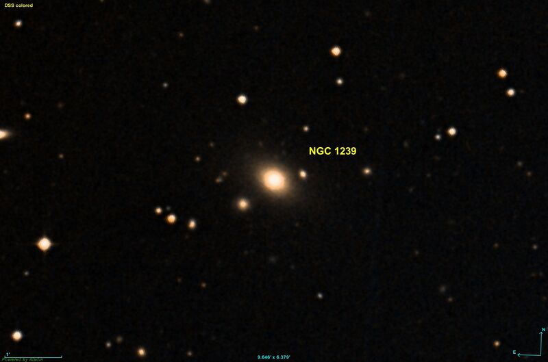 ملف:NGC 1239 DSS.jpg