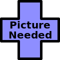 ملف:Picture Needed.svg