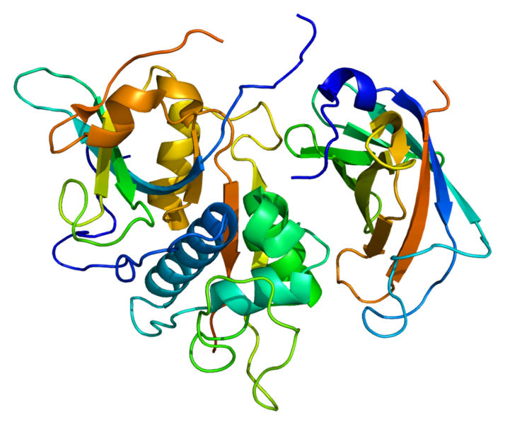 ملف:Protein CTSC PDB 1k3b.png