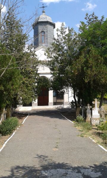 ملف:Fagarasul Nou 2015 (5).jpg