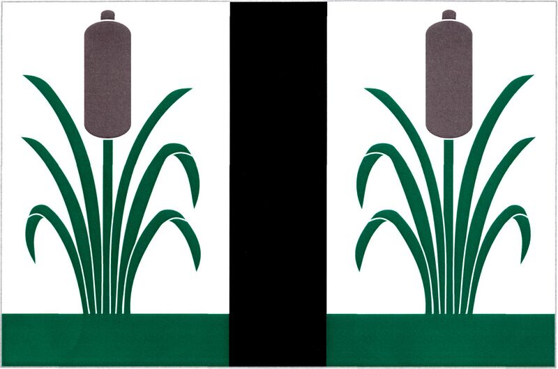 ملف:Flag of Šenov.jpg