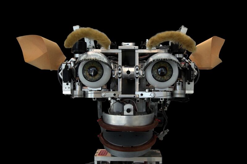 ملف:Kismet-IMG 6007-black.jpg