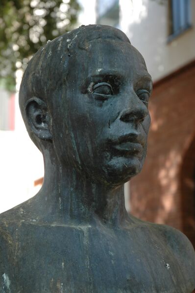 ملف:Miquel Carreras i Costajussà.jpg