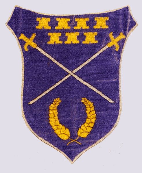 ملف:ROU SB Bradeni CoA.jpg