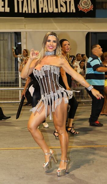 ملف:Gaviões da Fiel (24289337610).jpg