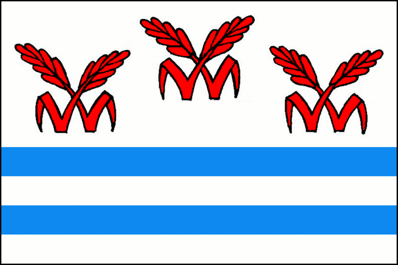 ملف:Litvinovice CZ flag.gif