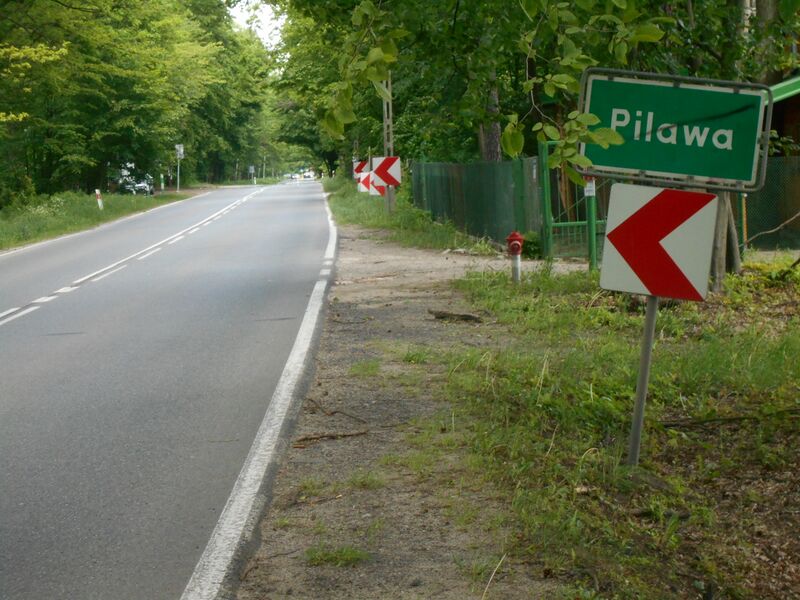 ملف:Pilawa.jpg