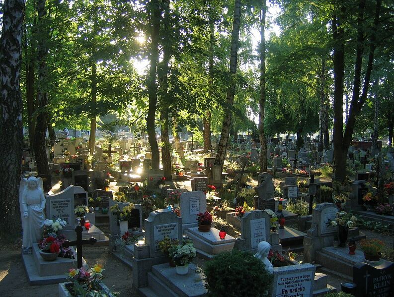 ملف:Wejherowo-Cmentarz Śmiechowski.jpg