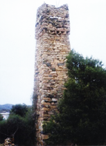 شجرة سنديان قرب حصن قديم