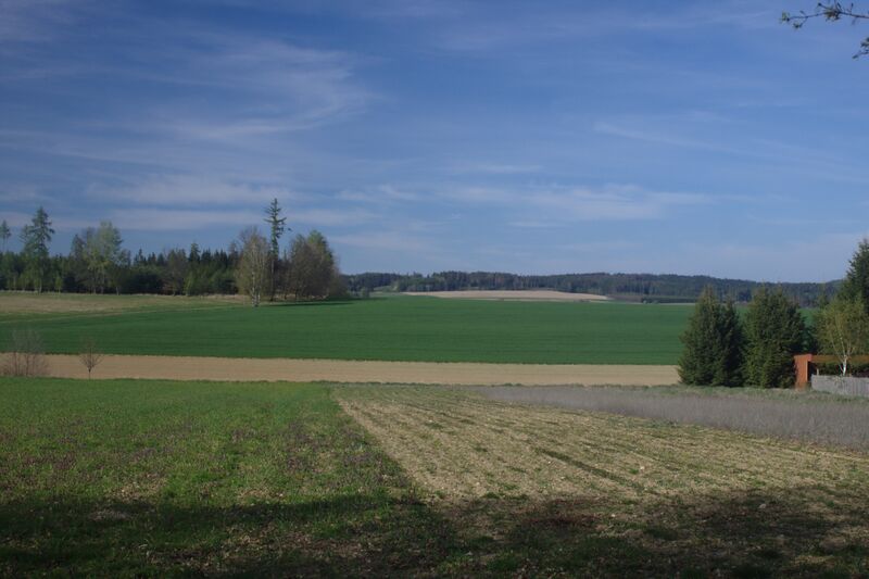 ملف:Beranova Lhota, pole.jpg