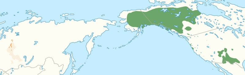ملف:Dené-Yeniseian languages map.png