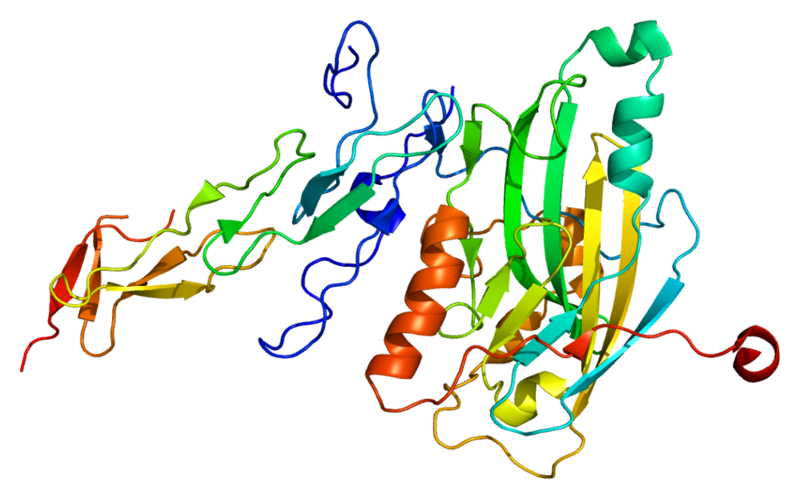 ملف:Protein TNFRSF14 PDB 1jma.png
