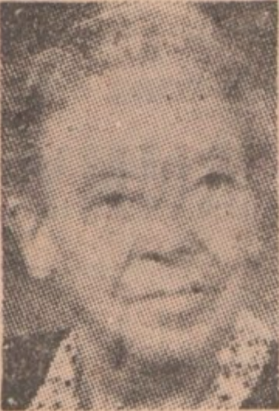 ملف:Vienna Mesterton.png