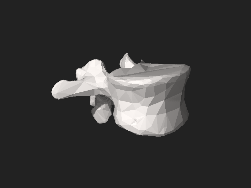 ملف:BodyParts3D FJ3159 Second lumbar vertebra.stl
