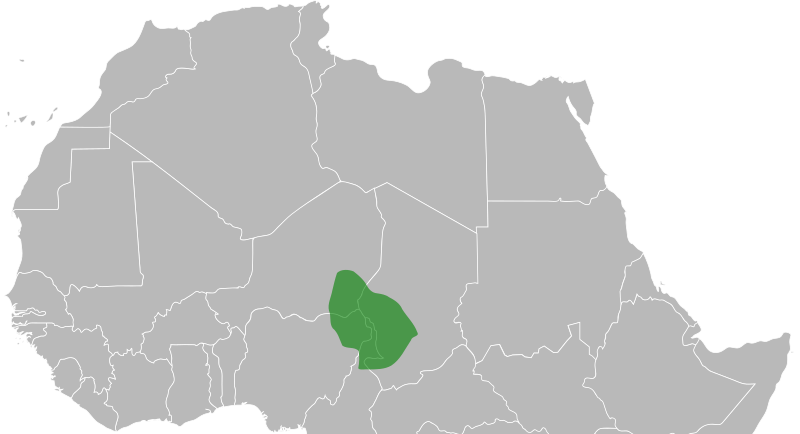 ملف:Bornu map 1750.svg