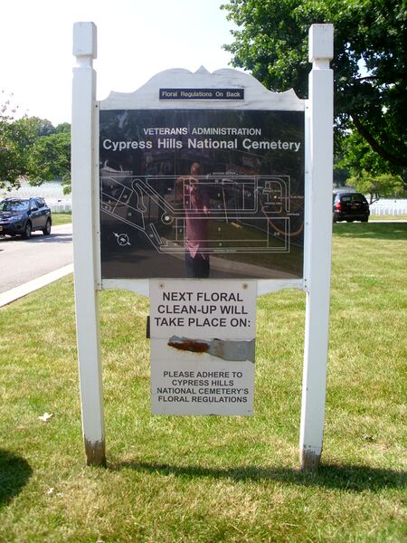 ملف:Cypress hills 013.jpg