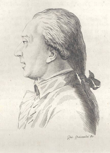 ملف:Raffaello Sanzio Morghen.jpg