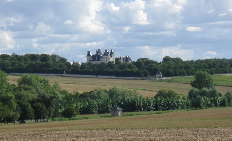 ملف:Seuilly Château du Coudray-Montpensier.jpg
