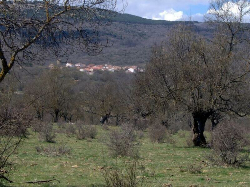 ملف:Villar del Ala.jpg