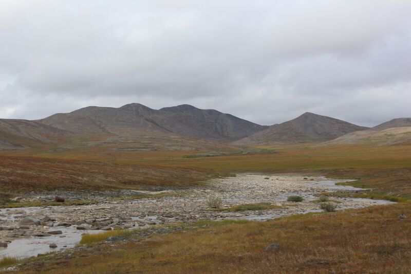 ملف:Золотой хребет, Южная Чукотка.jpg