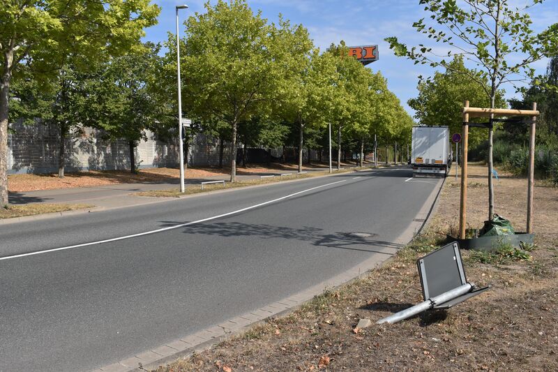 ملف:2022-09-05 Elise-Meyer-Allee 02.JPG