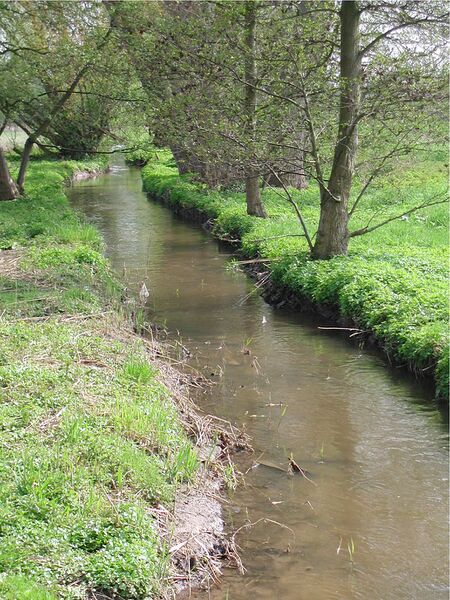 ملف:Begradigte Rodau.jpg