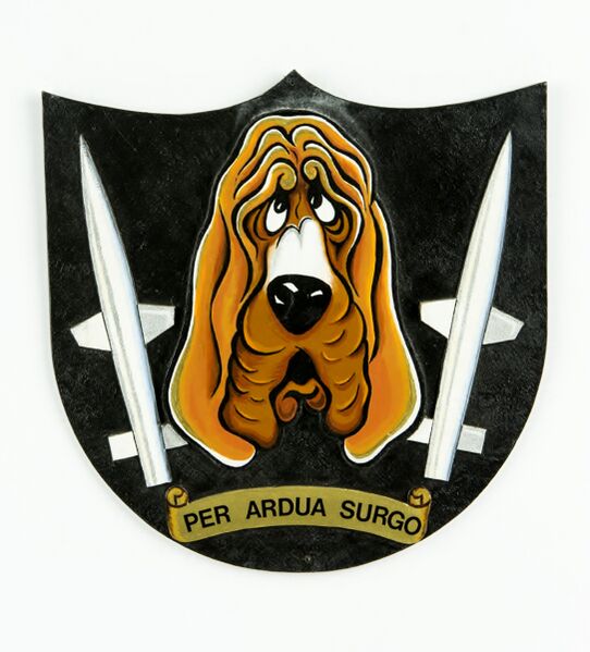 ملف:Divisionsmärke F 10 robotdivisionen.jpg