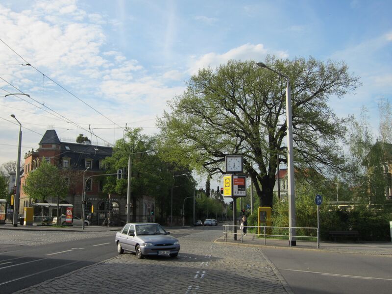 ملف:Dresden Wasaplatz König-Albert-Eiche S.JPG