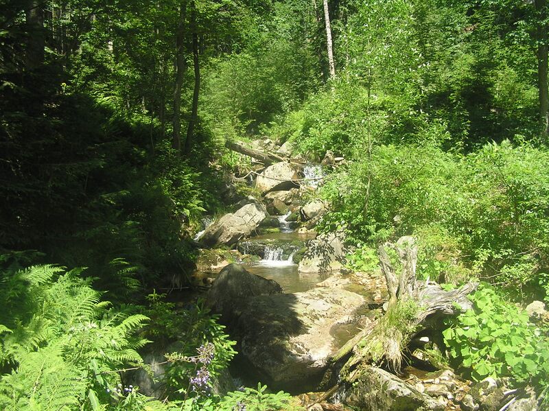 ملف:Prudký potok5.JPG