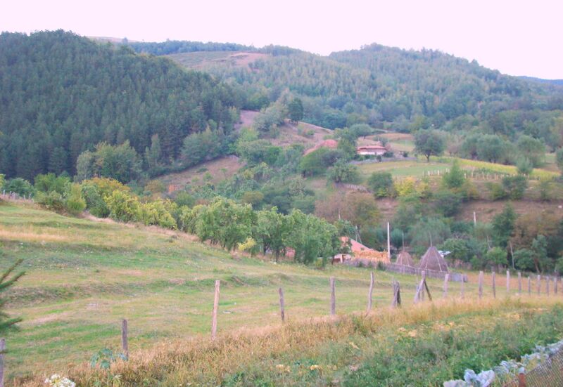 ملف:RO GJ Dragoiesti 16.jpg