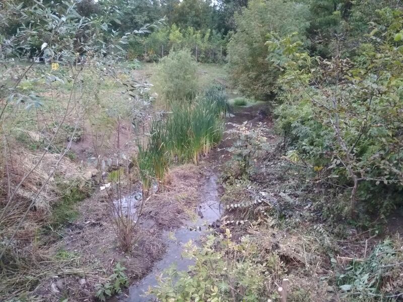 ملف:Тульчинка 03.jpg