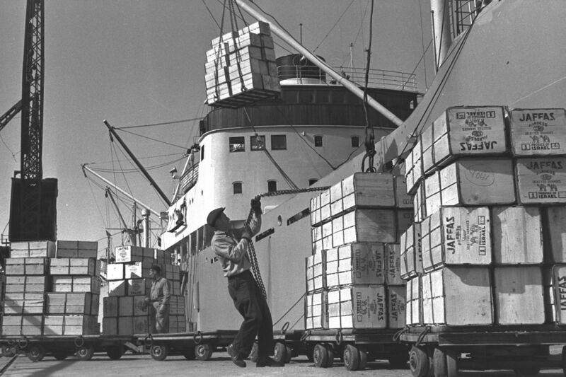 ملف:Jaffa Oranges.jpg