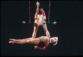 A fixed doubles trapeze act