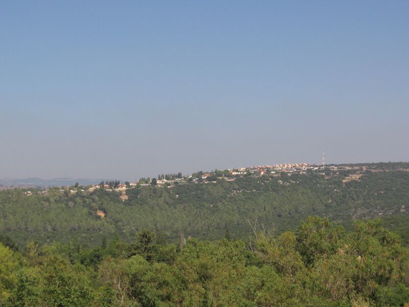 ملف:Goren-Gornot hagalil.jpg