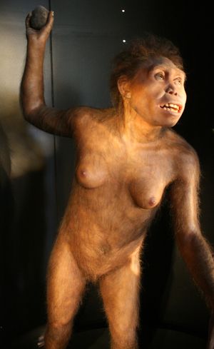 MEH Homo georgicus 29-04-2012 11-35-22 2372x3863.JPG