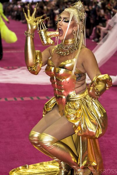 ملف:RuPaul DragCon 2022 (52073488734).jpg