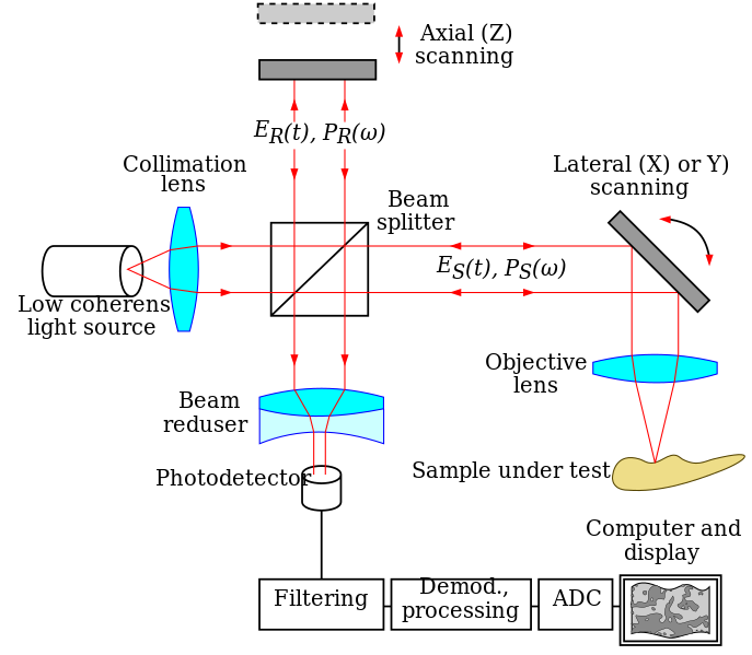 ملف:OCT B-Scan Setup-en.svg