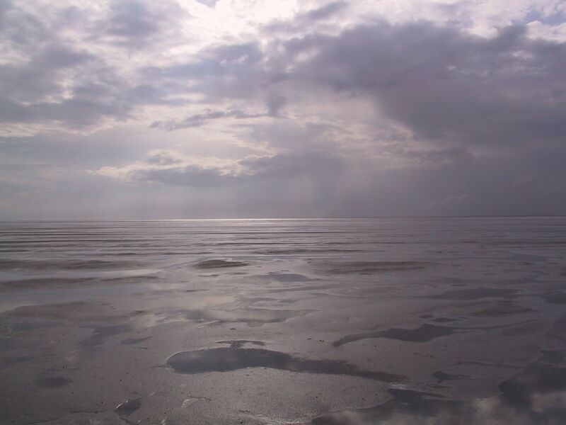 ملف:Waddenzee zon.jpg