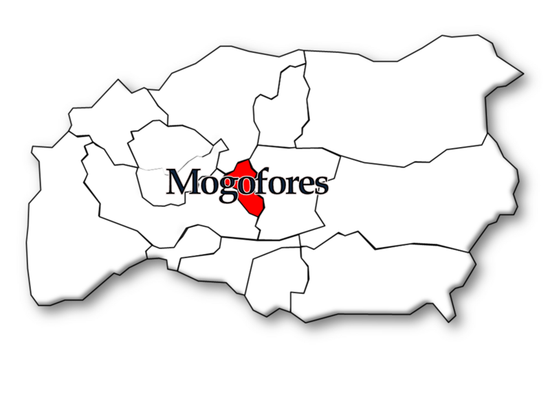 ملف:Anadia 19.PNG