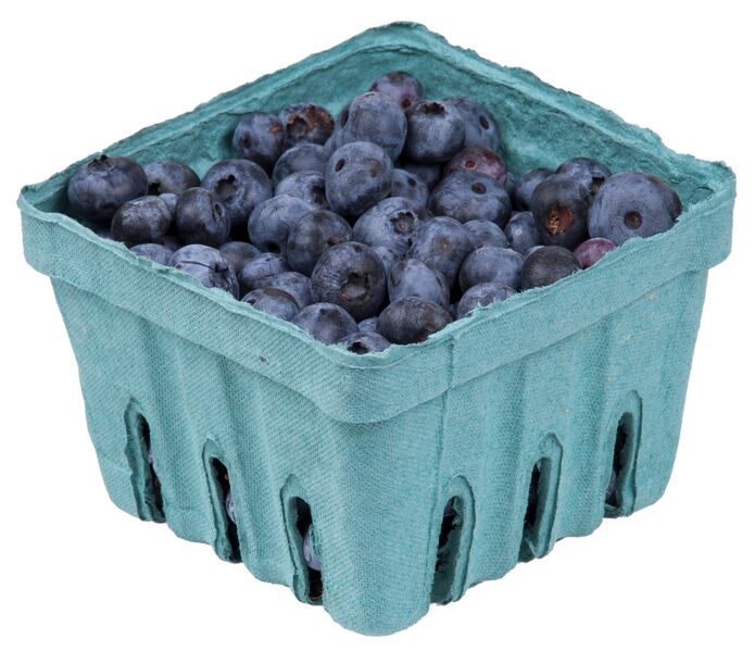 ملف:Blueberries-In-Pack.jpg