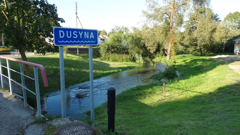 ملف:Dusyna Vyžuonose.JPG